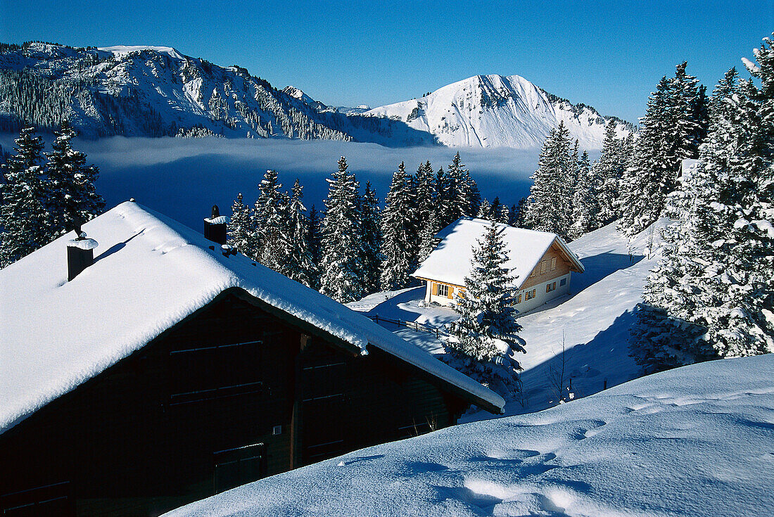 Klewenalp, Central Switzerland Switzerland