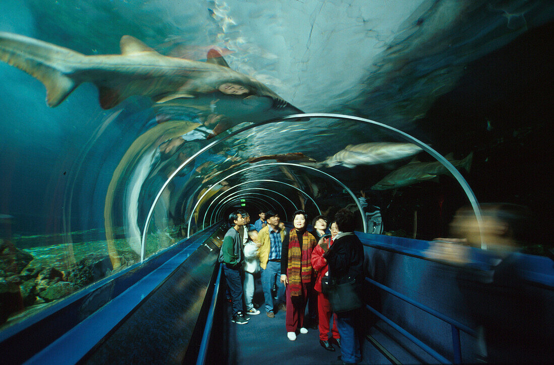 Aquarium, Sydney, Sydney, New South Wales Australien