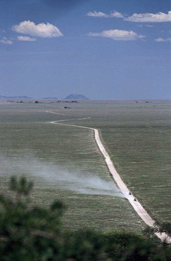 Straße über die Serengeti Plains, Serengeti Nationalpark, Tansania, Afrika