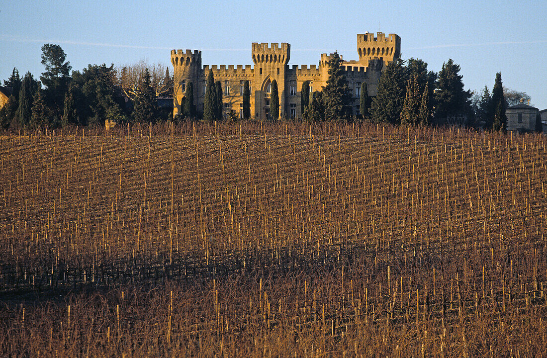 Vineyard and castle, Chateau Neuf du Pape, Provence, France