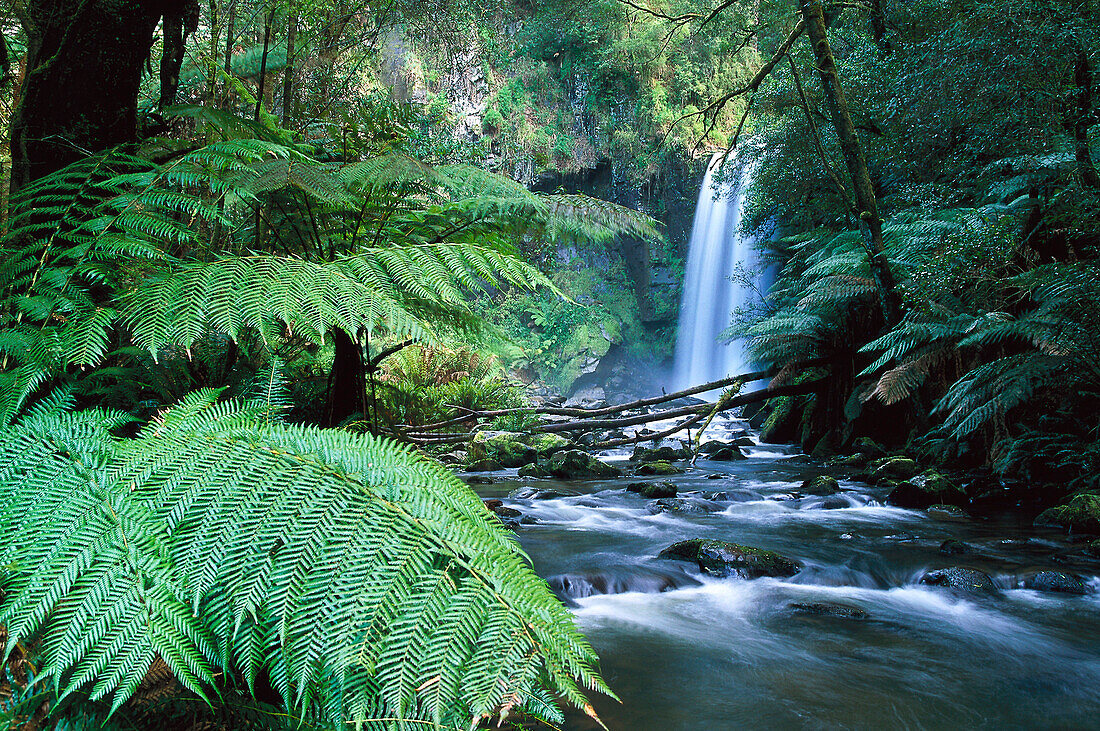 Hopetoun Falls, Aire River, Rainforest, Otway Ranges Victoria, Australia