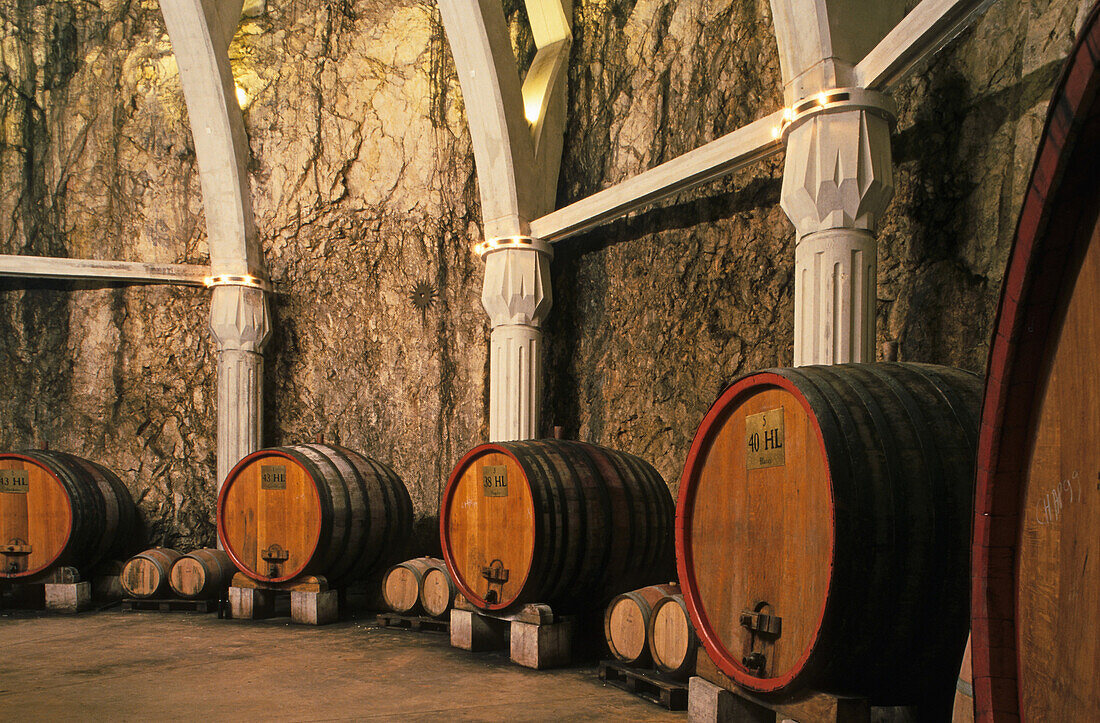 Grosse und kleine Fässer in einem Weinkeller, Château Romanin, Saint Rémy de Provence, Provence, Frankreich