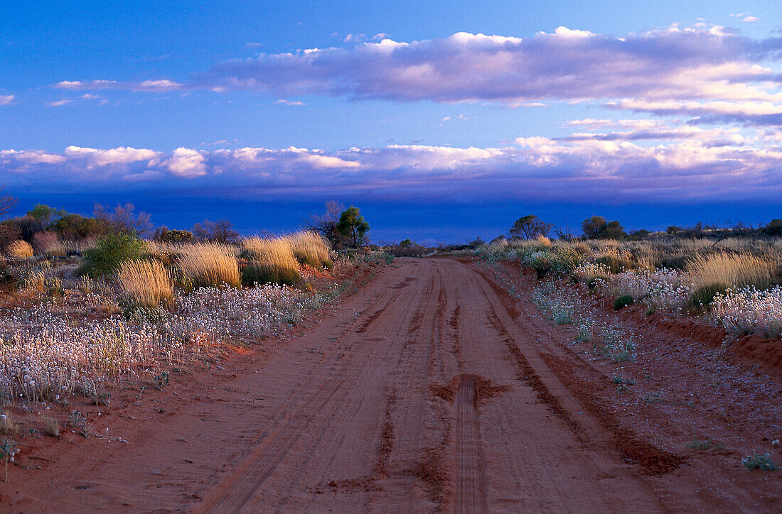 Road in dry plain, Tibooburra, New South Wales Australia