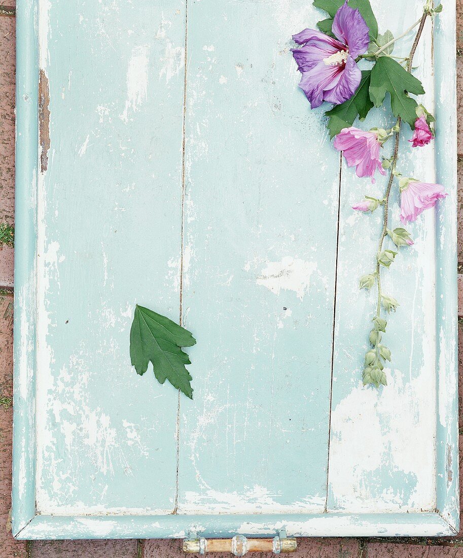 A stalk of purple mallow on a wooden tray