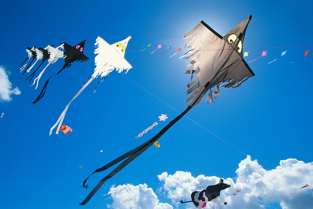 Internationales Kite Festival, Norderney, Kitefestival, Ostfriesische Inseln, Niedersachsen, Deutschland