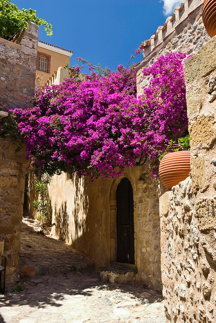 Lane with flowers, Monemvasia, Lakonia, Peloponnese, Greece