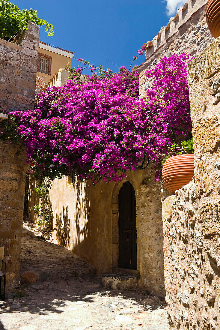 Straße mit Blumen, Monemvasia, Lakonia, Peloponnes, Griechenland