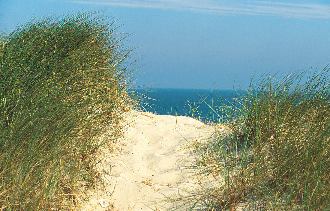 Sand of the dunes, Sylt Island, Schleswig-Holstein, Germany