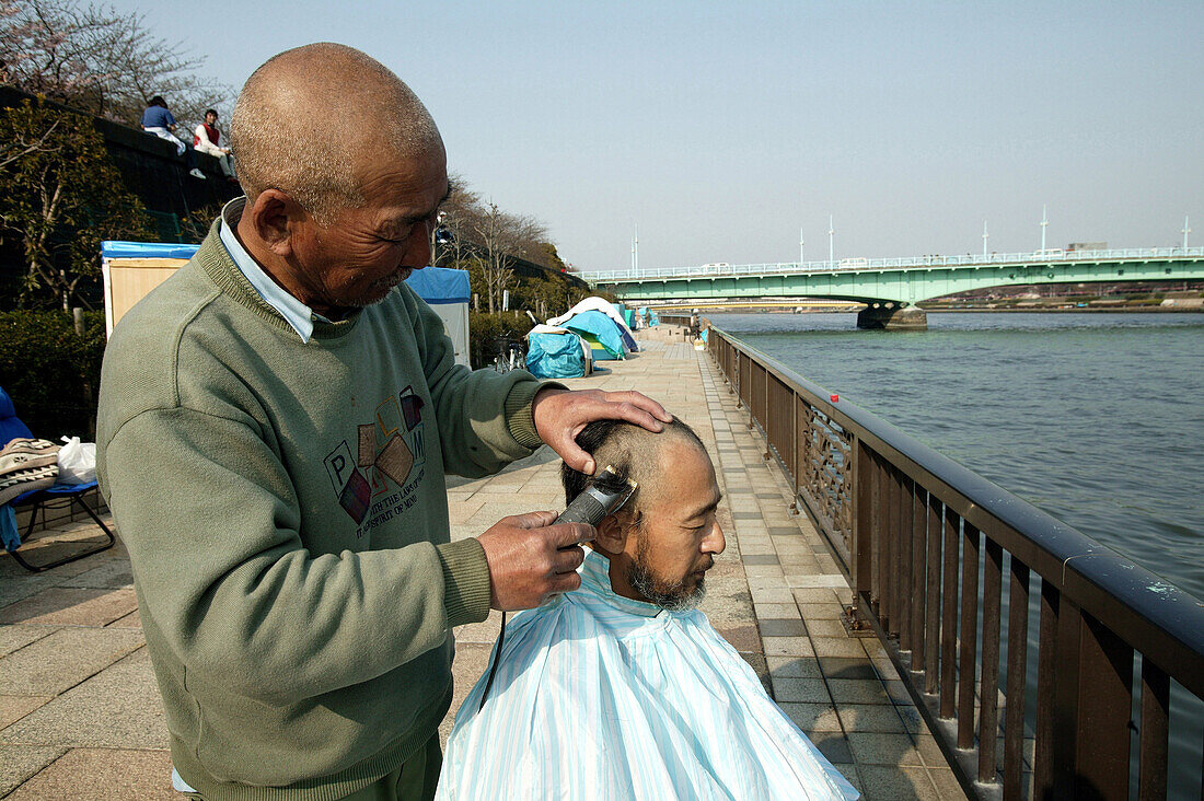 Homeless, living boxes in Tokyo, Japan, Homeless community on the banks of the Sumida River, neighbourhood help, hair cutting with electricity from a generator Obdachlose, notdürftige Schutzbauten, Pappkarton-Architektur, Plastikplanen, Slum, Obdachlosigk