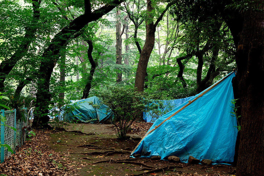 Living boxes in Tokyo, Ueno Park, Japan, Homeless community in Ueno Park Tents everywhere in the famous city park Obdachlose, notdürftige Schutzbauten, Pappkarton-Architektur, Plastikplanen, Slum, Obdachlosigkeit, Randgruppe, Astronomical high rents have 