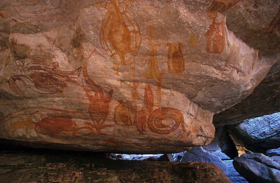 Felsmalerei in Röntgendarstellung, Kunst der australischen Aborigines, Davidson Safaris, Aboriginal Felsenmalerei galerie, Davidson Arnhemland Safaris, Northern Territory, Australien