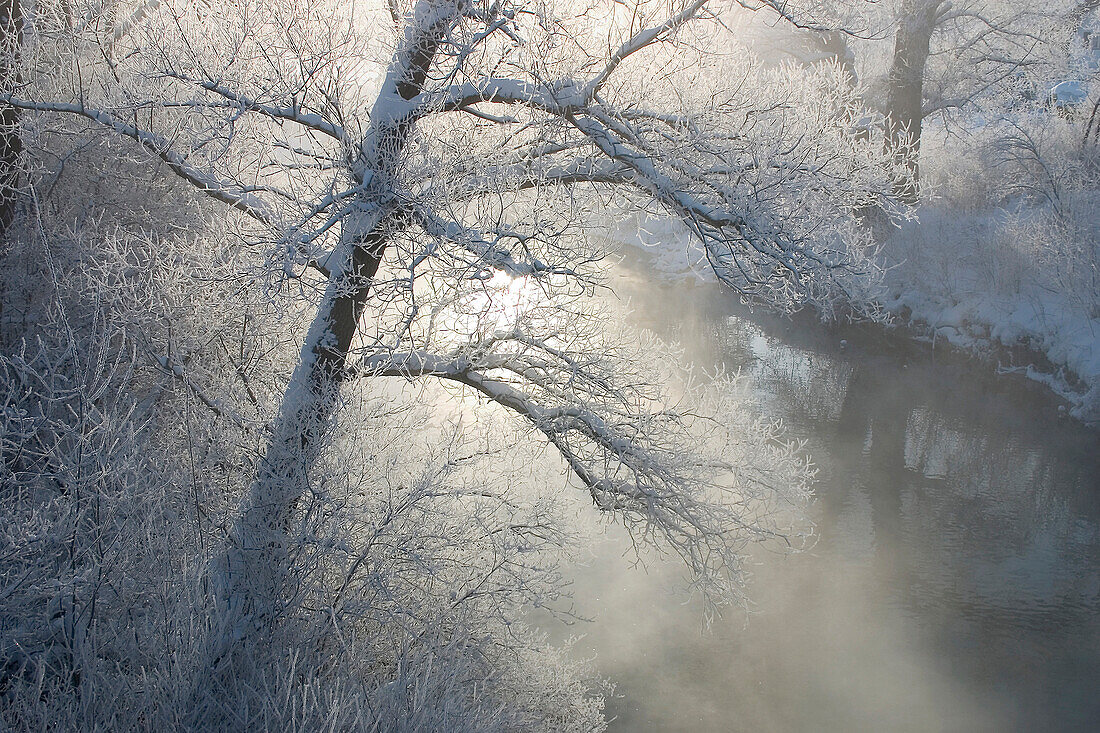 Winter scenery at the Loisach river, Upper Bavaria, Germany