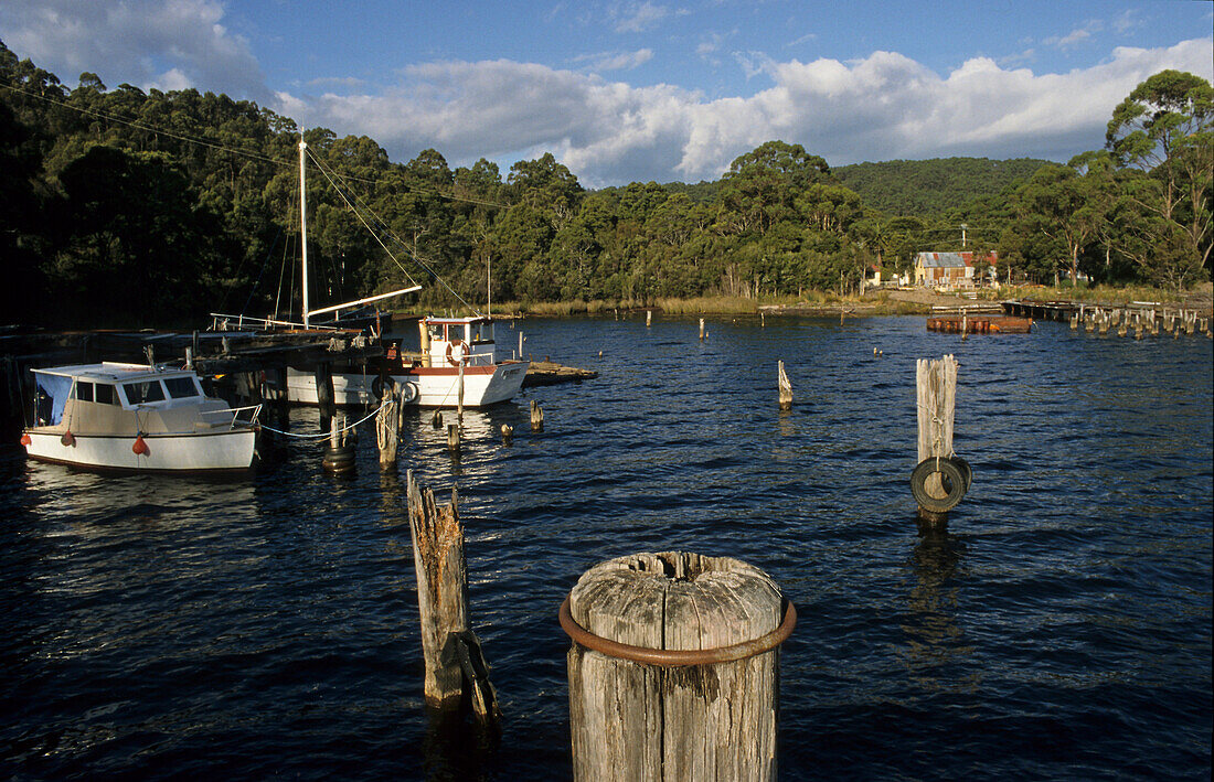 Small boats, west coast harbour, Strahan, Australien, Tasmanien, Strahan, boats sheltering in Macquarie harbour, entrance to the Gordon River and West Coast Wilderness