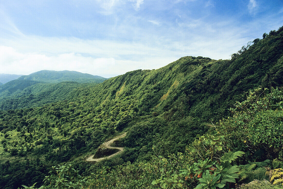 Monteverde Nebelwald, Costa Rica