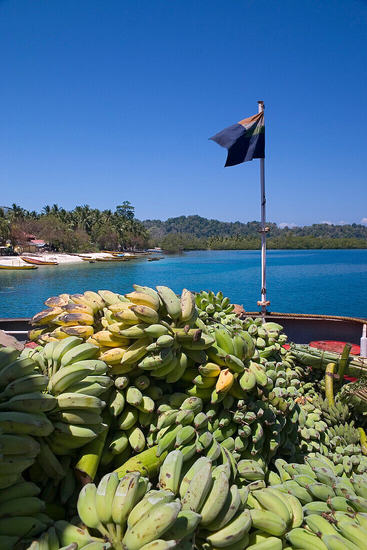 Bananen auf Boot, Musa species, Havelock Inseln, Andamanen, Indien