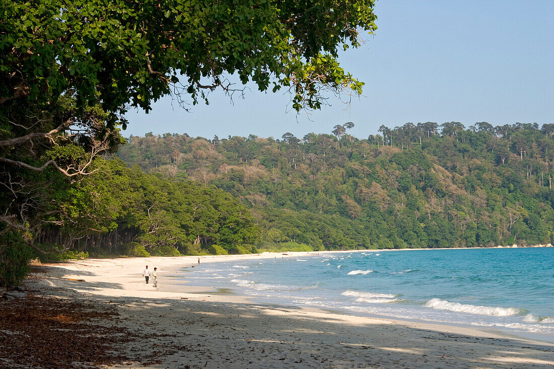 Coastal rainforest, Havelock Island, Andaman Sea, Kuesten-Regenwald, Strand, Bucht, Havelock, Andamanen, IndienCoastal Rainforest, beach, Andaman Islands, India