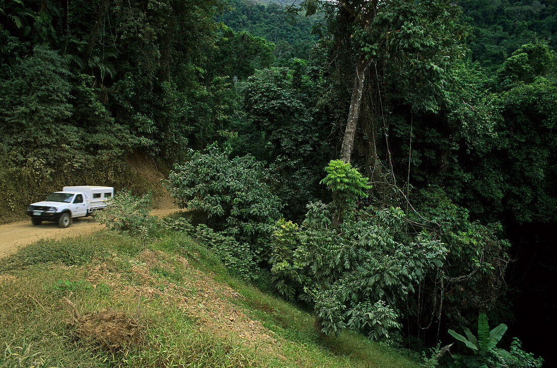 Ein Geländerwagen, Tour durch Regenwald, Daintree Naturpark, Queensland, Australien