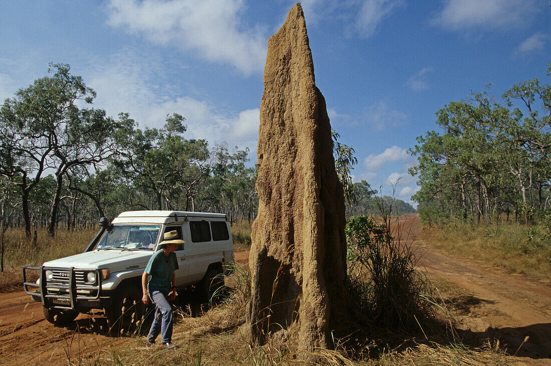 Giant termite mound, Lakefield  National Park, Cape York Peninsula, Queensland, Australia