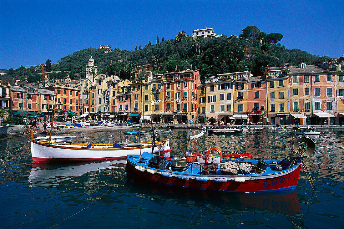 Boats at harbour under blue sky, Portofino, Liguria, Italy, Europe