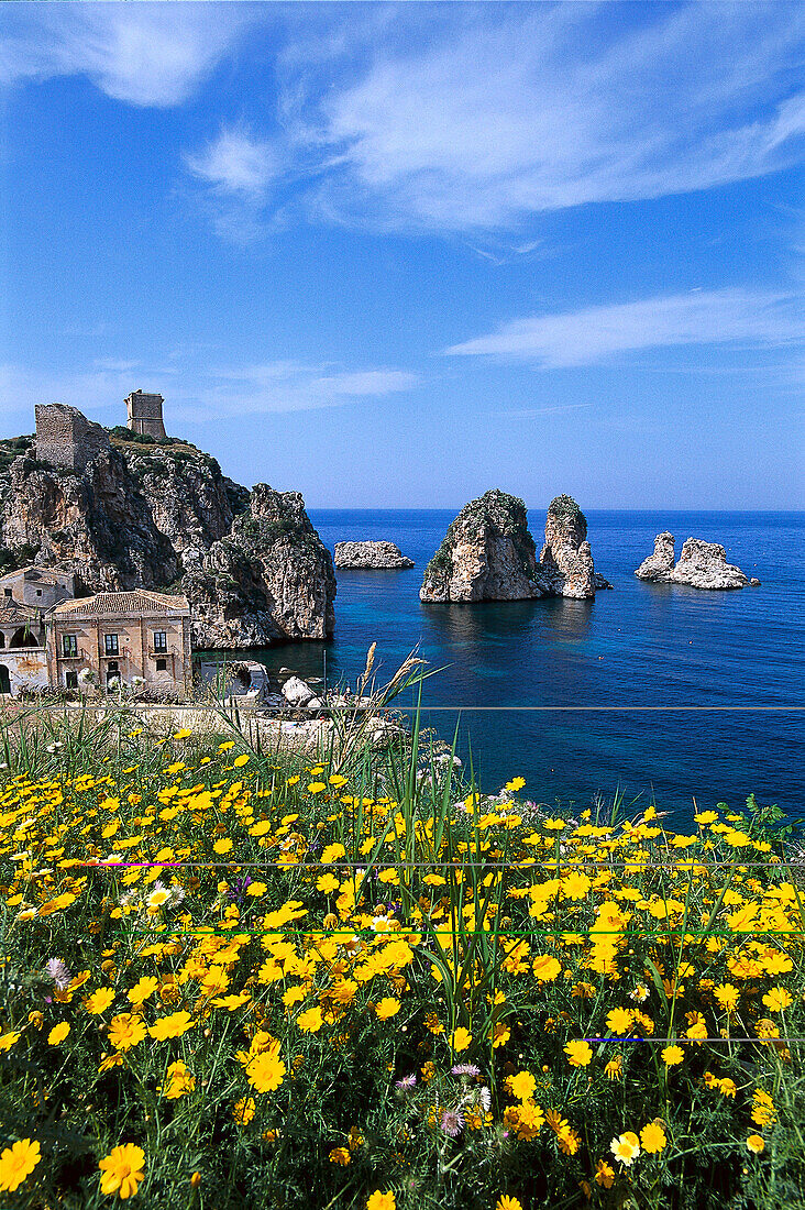 Yellow flowers and country house on the waterfront, Scopello, Sicily, Italy, Europe