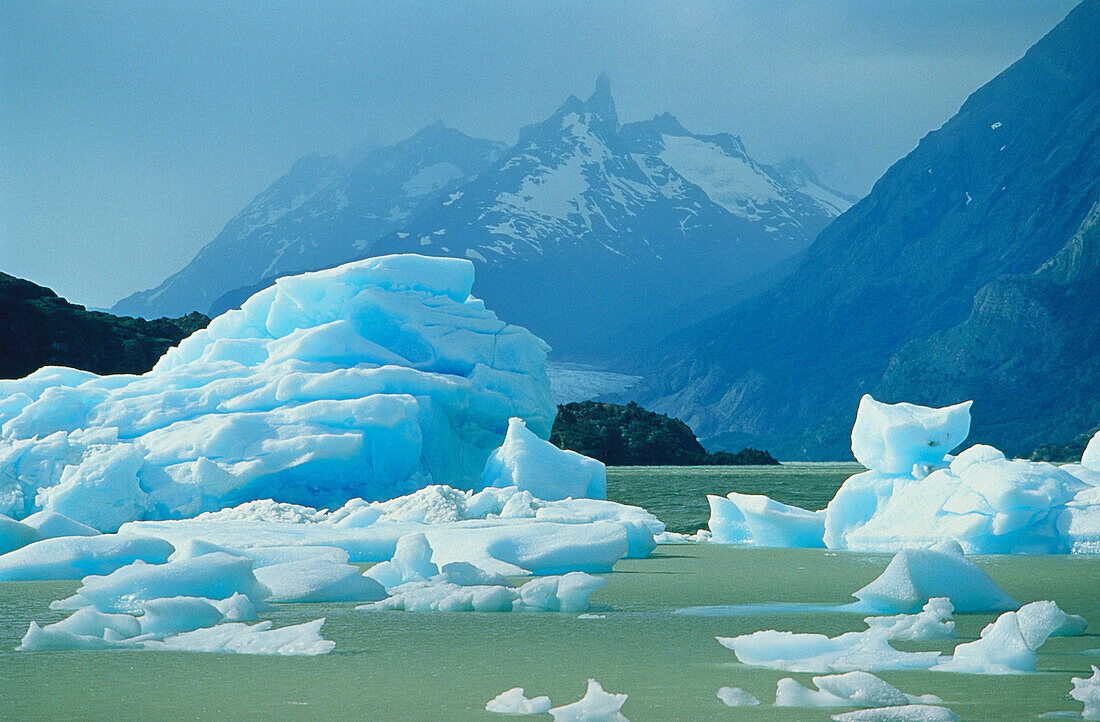 Ice floes in Lago de Grey, Torres del Paine National Park, Patagonia, Chile, South America