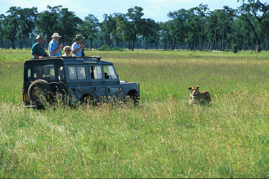 Touristen beobachten Löwen, Jeep Safari, Nationalpark, Kenia, Afrika