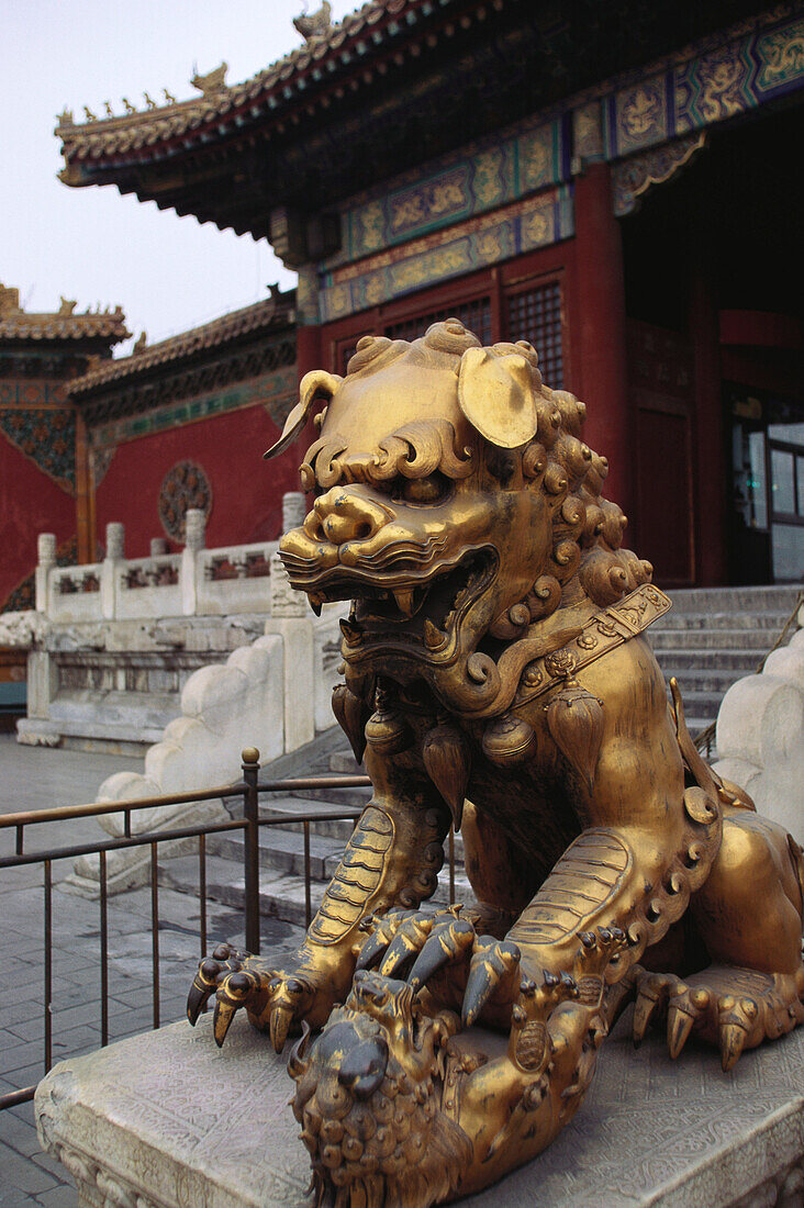 Goldener Bronze-Löwe am Tor der Reinheit, Verbotene Stadt Beijing, China