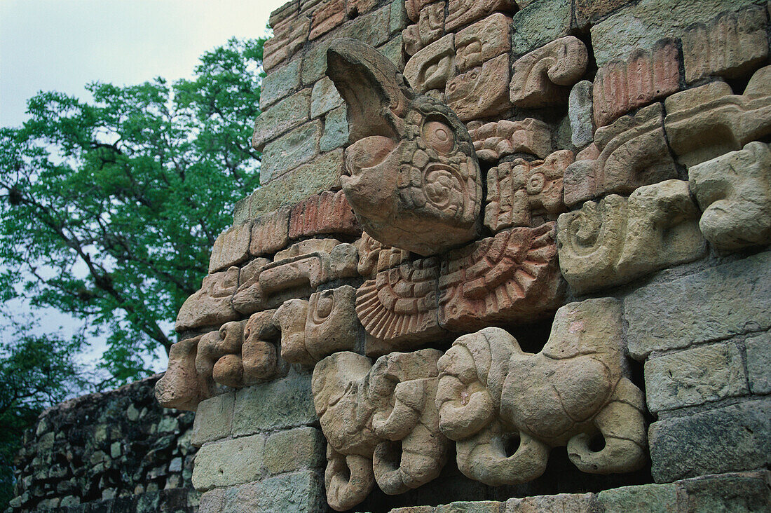 Maya Ruinen von Copán, Ballcourt, Principal Group, Honduras, Zentralamerika, Amerika