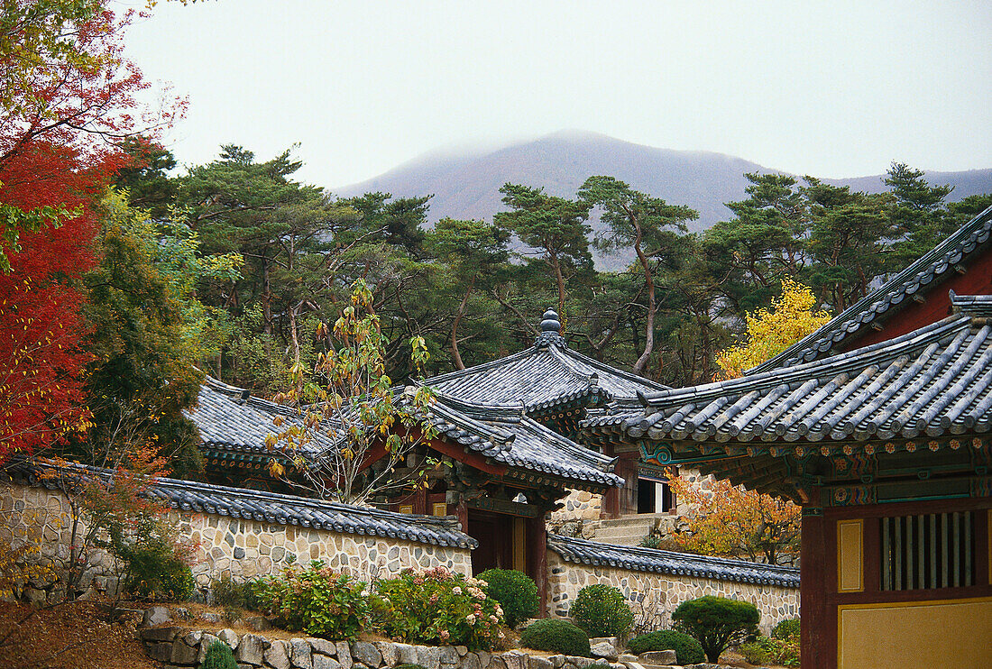 Temples in front of a mountain, Seoul, South Korea, Asia