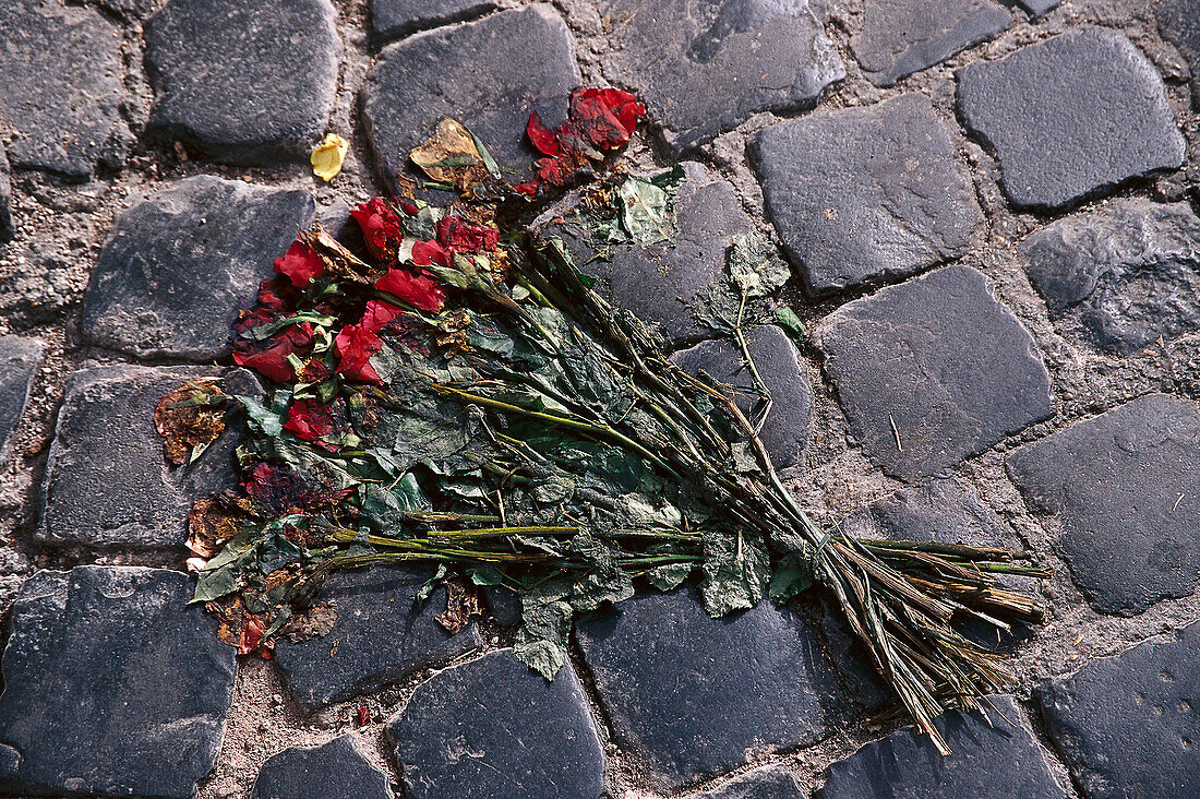 Bunch of roses, Rome, Latio, Italy