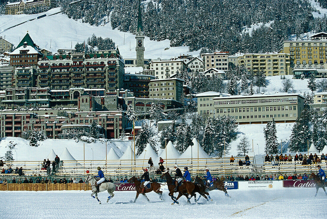 Polo, Winter, St. Moritz, Engadin Graubuenden, Switzerland