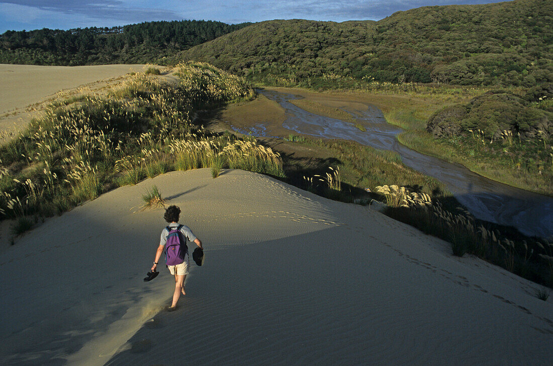 Te Paki sand dunes, Northland, Sand dunes, New Zealand