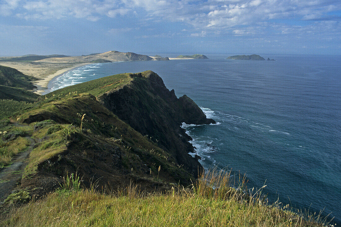 View of Te Werahi Beach and Cape Maria van Dieman, North Island, New Zealand, Oceania