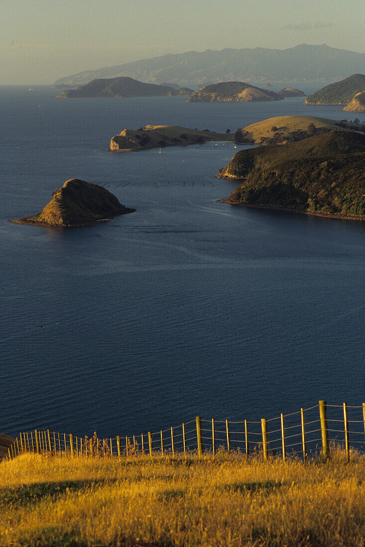 Coromandel Harbour, Blick auf Küstenlandschaft, Coromandel Halbinsel, Nordinsel, Neuseeland, Ozeanien