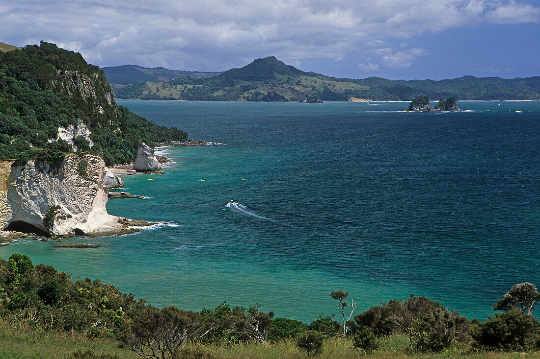 Küstenlandschaft und Mercury Bucht im Sonnenlicht, Cathedral Cove, Coromandel Halbinsel, Nordinsel, Neuseeland, Ozeanien