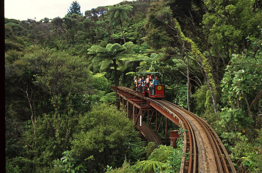 Menschen fahren in der Creek Railway Bahn durch Regenwald, Coromandel Halbinsel, Nordinsel, Neuseeland, Ozeanien