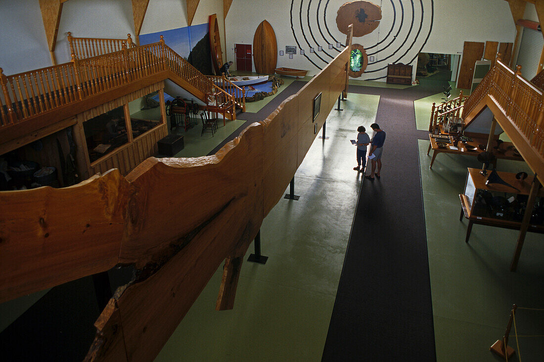 People inside the Kauri and Pioneer Museum, Matakohe, North Island, New Zealand, Oceania