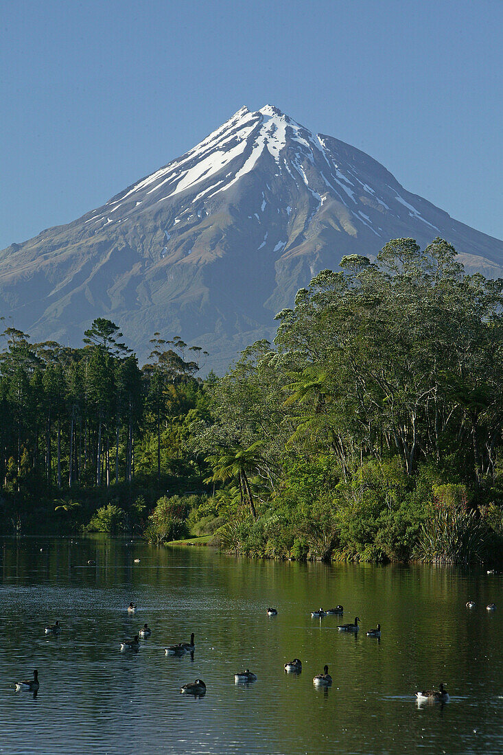 Blick auf den erloschenen Vulkan Mount Taranaki im Egmont Nationalpark, Nordinsel, Neuseeland, Ozeanien