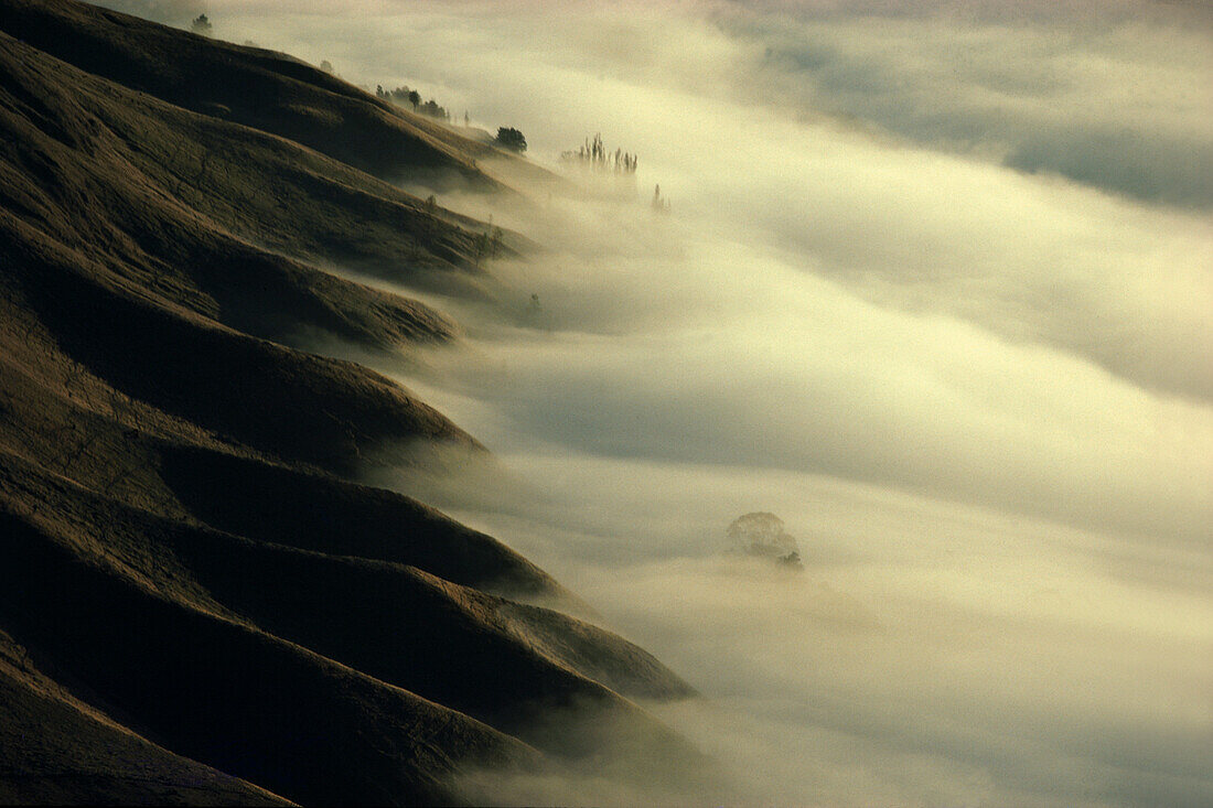 Blick vom Te Mata Gipfel auf Morgennebel im Tukituki Tal, Hawkes Bay, Nordinsel, Neuseeland, Ozeanien