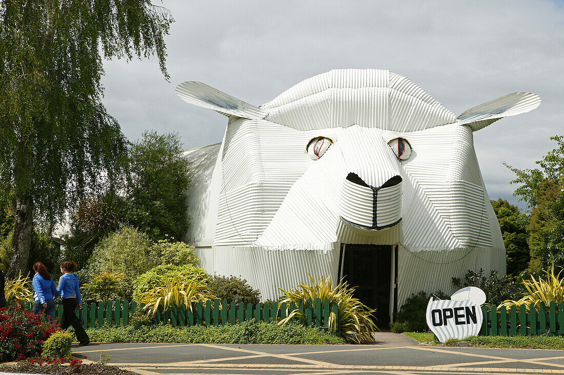 Wool store Big Sheep Wool Gallery, corrugates iron architecture, Tirau, Waikato Sheep Region, North Island, New Zealand