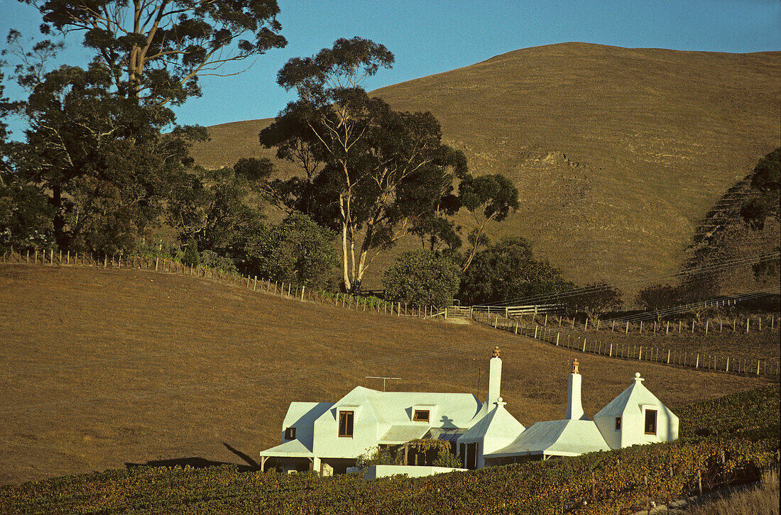 Te Mata winery and house, Havelock, House by architect Ian Athfield, Hawkes Bay, North Island, New Zealand