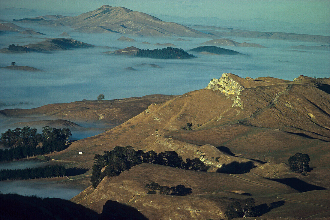 View from Te Mata Peak, Hawkes Bay, early morning fog in the Tukituki Valley, near Havelock North, Hawkes Bay North Island New Zealand