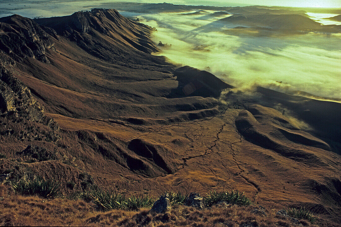 View from Te Mata Peak, Hawkes Bay, early morning fog in the Tukituki Valley, near Havelock North, Hawkes Bay North Island New Zealand