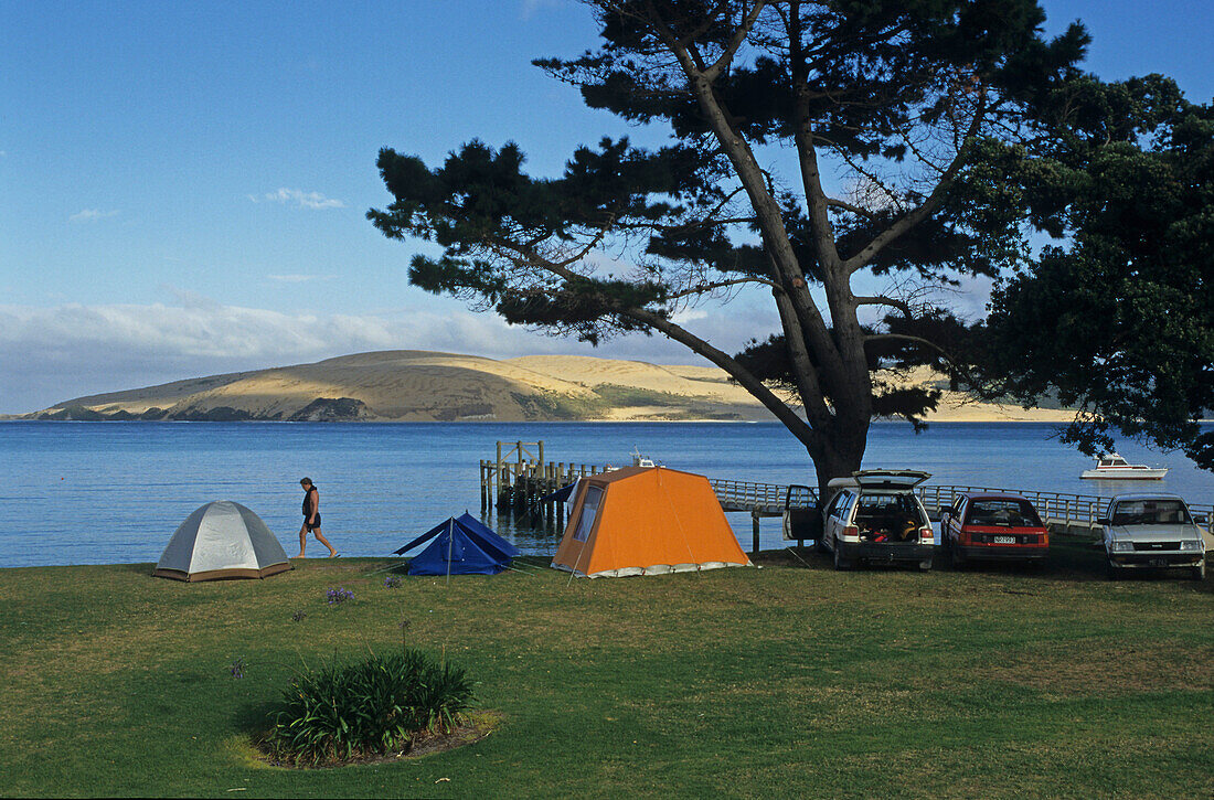 Tent, camping Omapere, Hokianga, idyllic campsite, banks of Hokianga Harbour entrance, west coast North Island