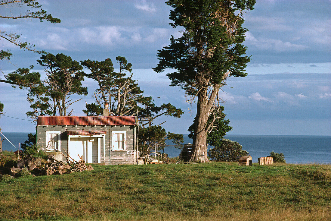 Typical holiday weekend shack at the coast, East Cape, North Island, New Zealand, Oceania