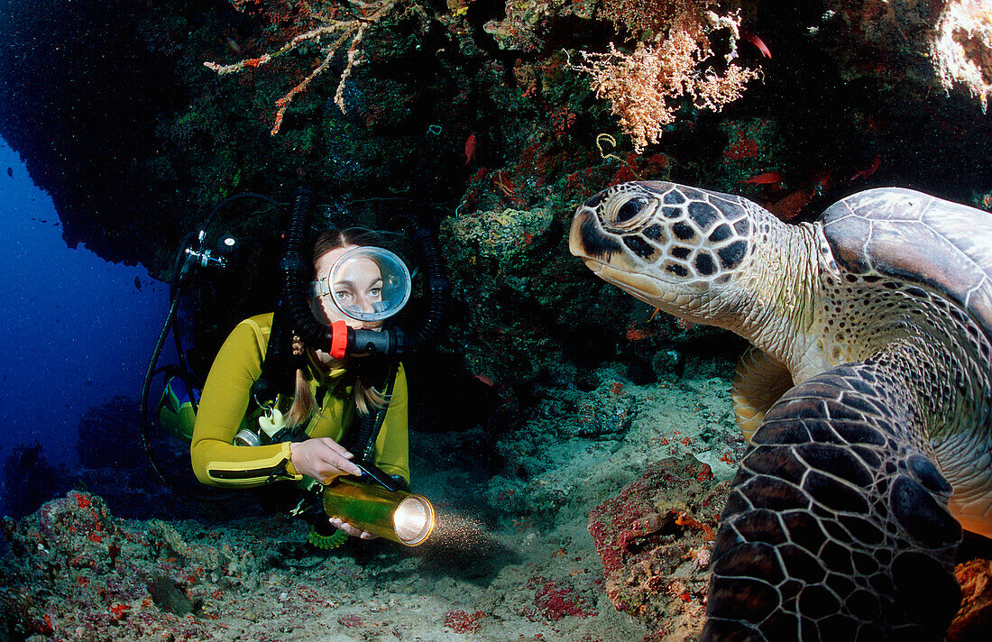 Echte Karettschildkroete und Taucher, Eretmochelys imbricata, Malediven, Indischer Ozean, Felidu Atoll