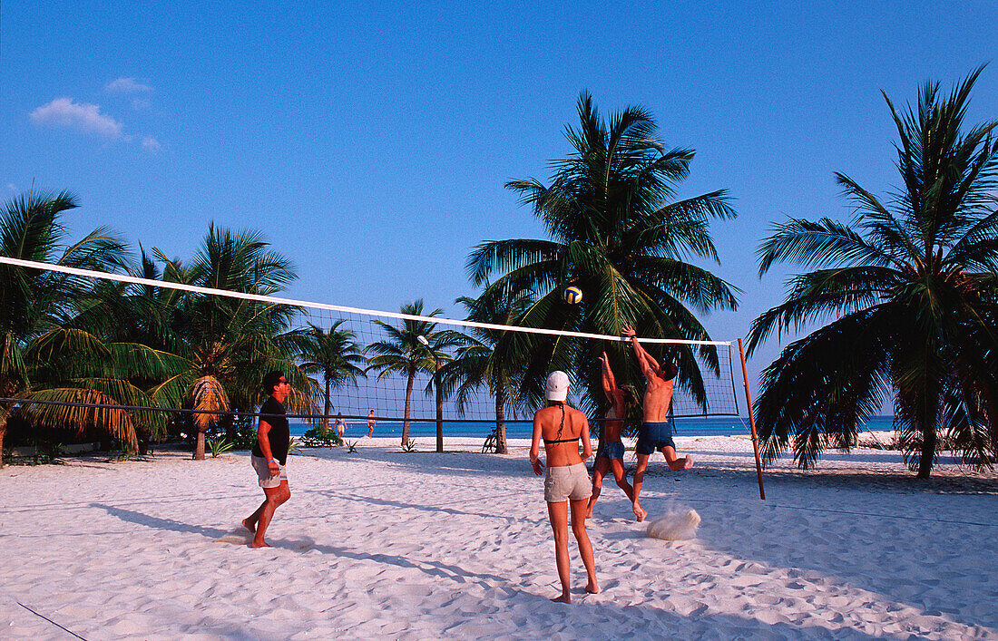 Beachvolleyball am Strand, Beach volleyball on the, Beach volleyball on the beach