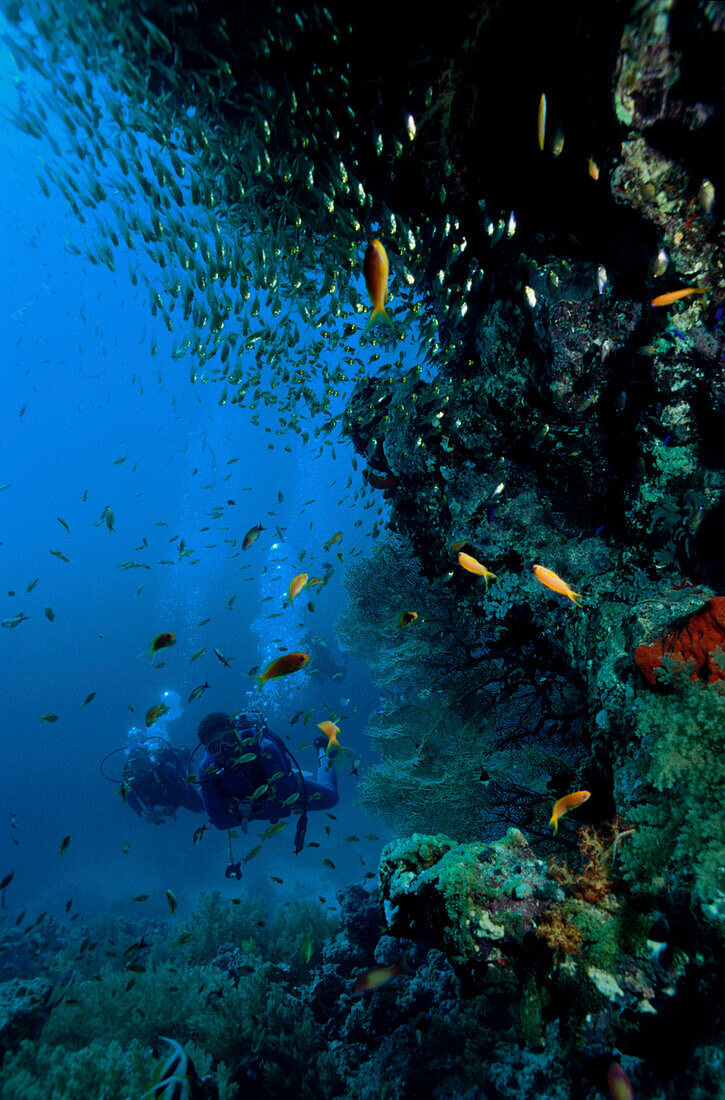 Taucher am Riff, Rotes Meer Ägypten