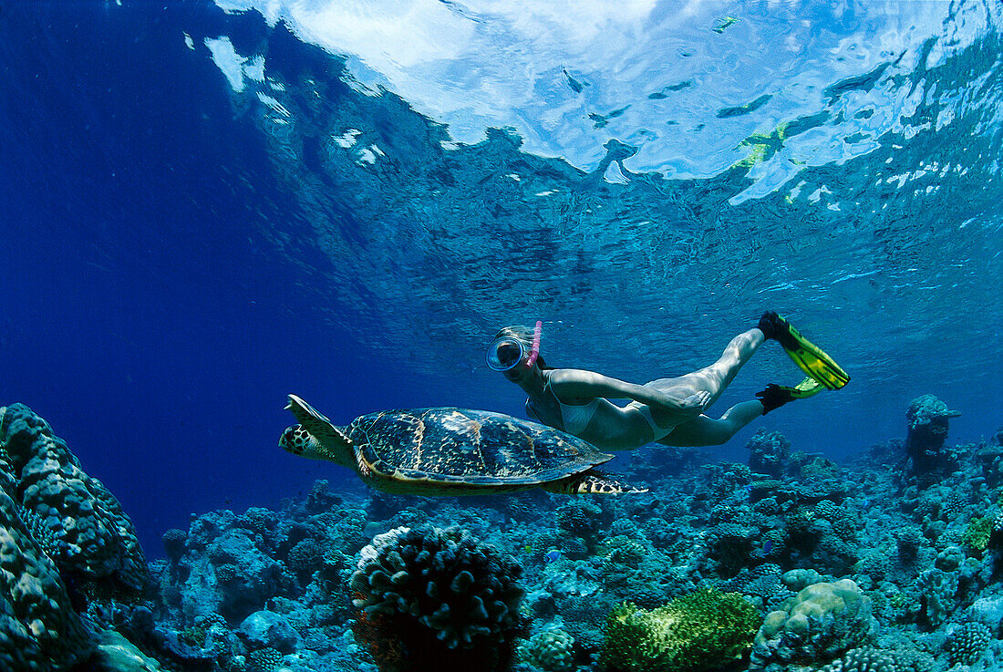 Schnorchlerin u. Schildkröte, Malediven