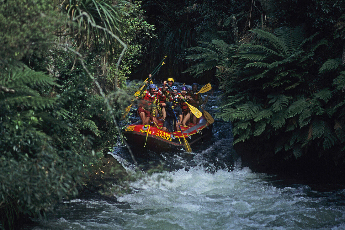 White water rafting, Kaituna River, Schlauchbootfahrt, Wildwasser, bei Rotorua